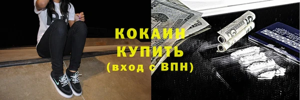 дживик Навашино