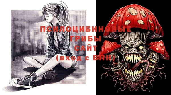 дживик Навашино