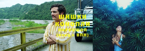 дживик Навашино