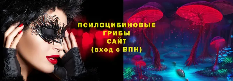 даркнет сайт  Правдинск  Псилоцибиновые грибы Cubensis 